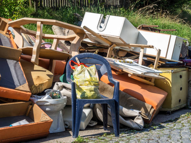 Best Attic Cleanout Services  in Clksville, AR